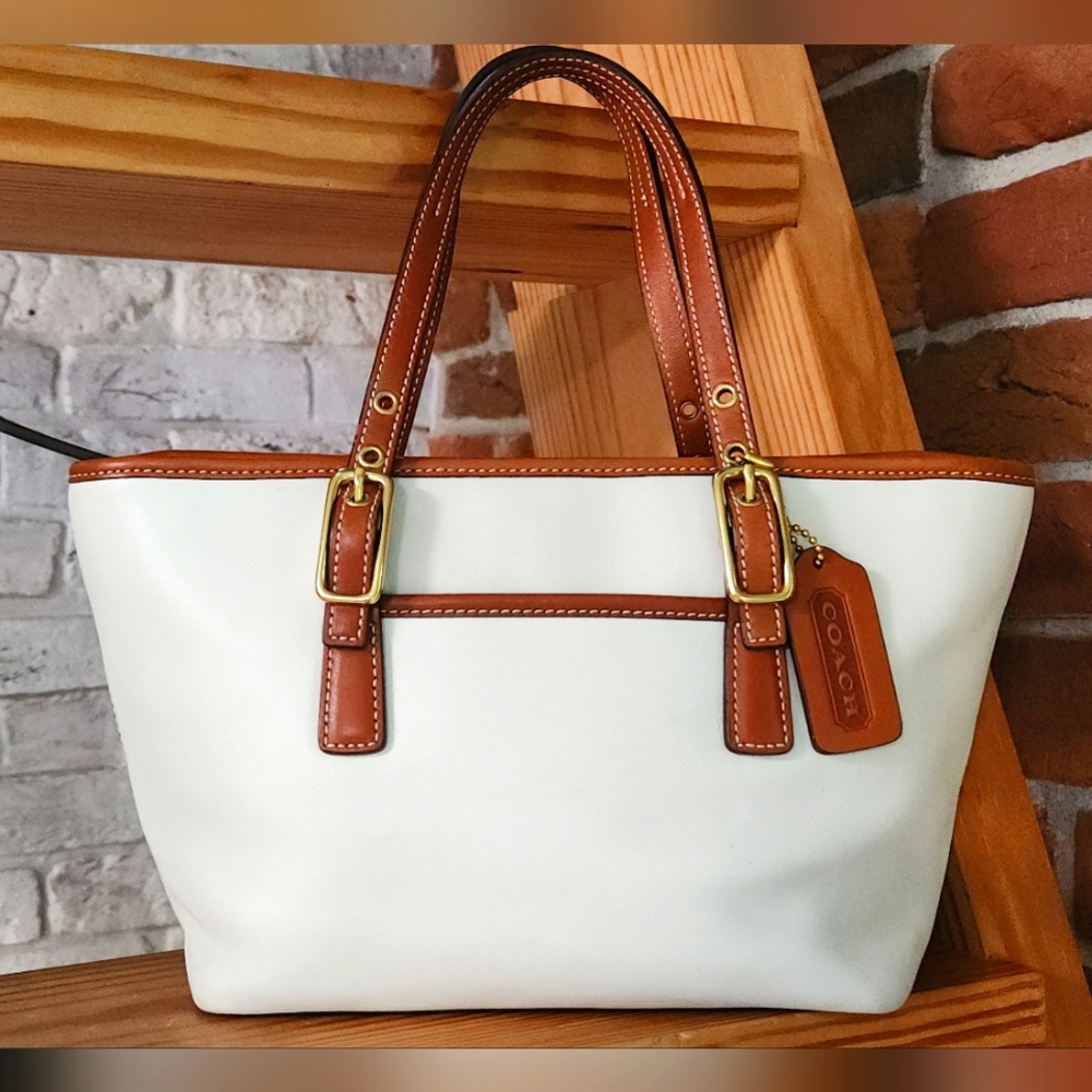 Coach Mini Hamptons Market Tote